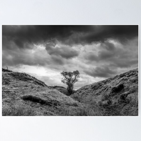 Aperçu de l'œuvre Tree under stormy skies créée et vendue par AndyCh.