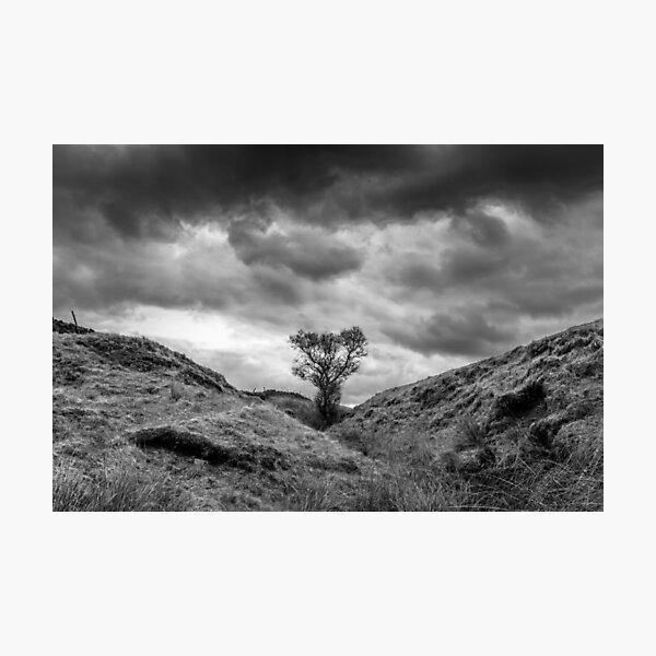 Item preview, Tree under stormy skies designed and sold by AndyCh.