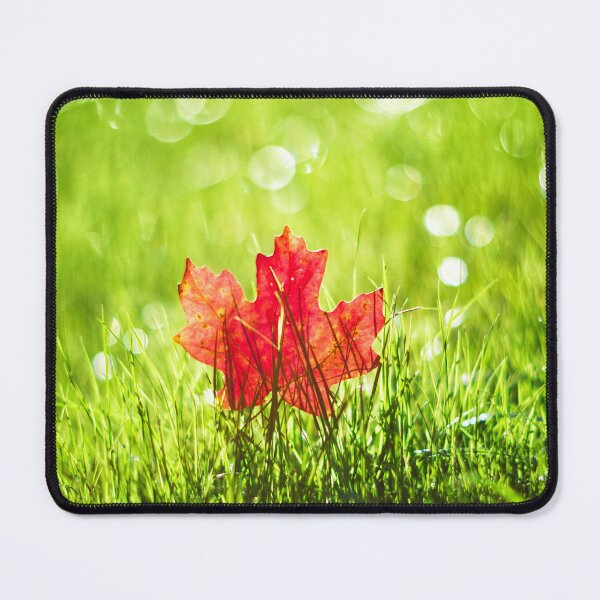 Item preview, Red maple designed and sold by EasyArts.