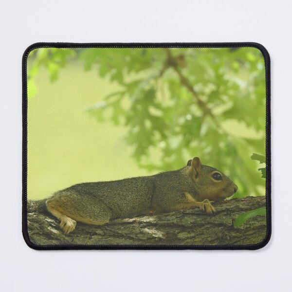 Item preview, Squirrel Takes A Break designed and sold by Bri-1.