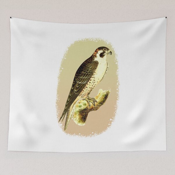 Item preview, Barbary Falcon graphic illustration designed and sold by Mr Lee.