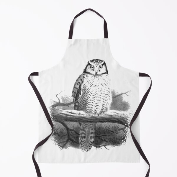 Item preview, Hawk Owl graphic illustration designed and sold by Mr Lee.