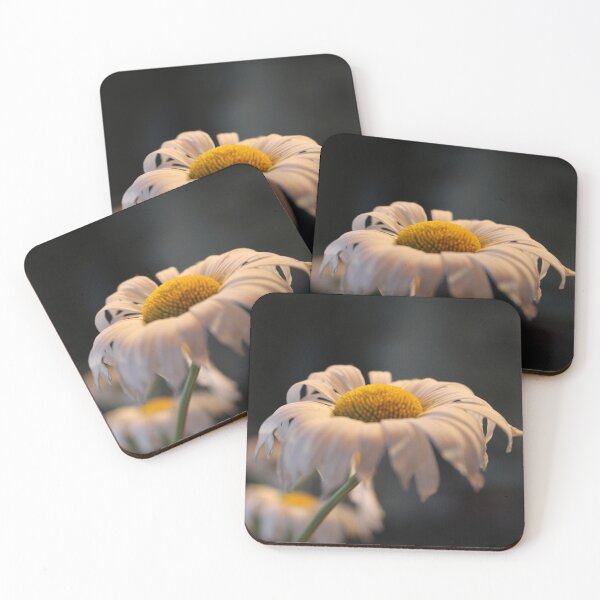 Item preview, Daisy designed and sold by Hankonen.