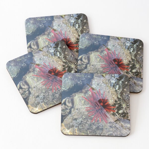 Item preview, Red Sea Urchin – Tidepool Ocean Photography designed and sold by TrisaThyme.