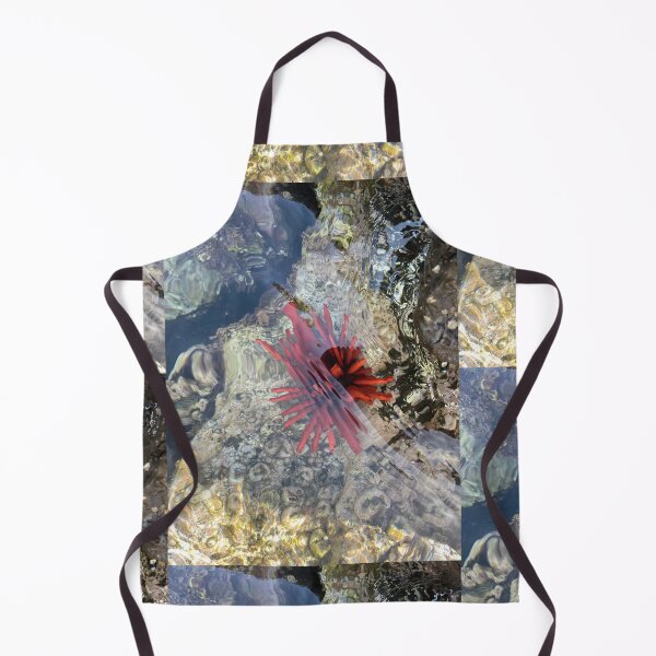 Item preview, Red Sea Urchin – Tidepool Ocean Photography designed and sold by TrisaThyme.