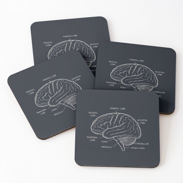 Item preview, Human Brain Anatomy Diagram – Educational Neuro Illustration | Science, Psychology, and Biology Design designed and sold by PureBrain.