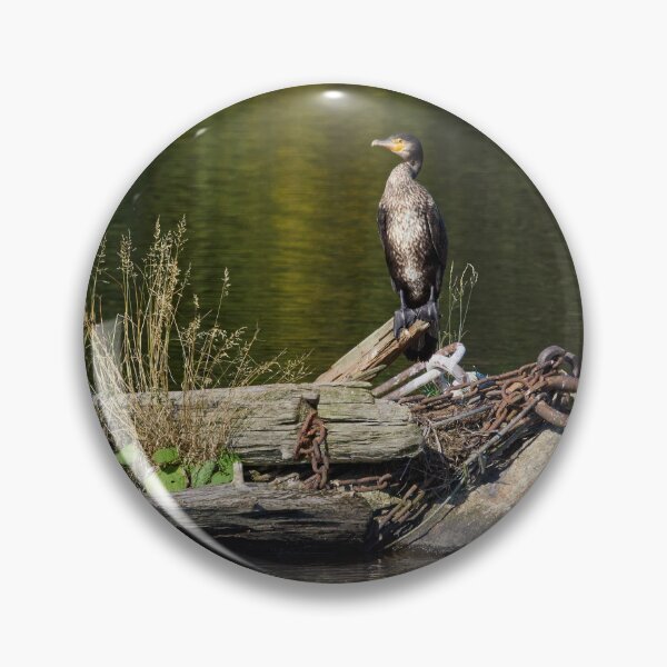Item preview, Resting place. Great cormorant designed and sold by Jouko Lehto Photography.