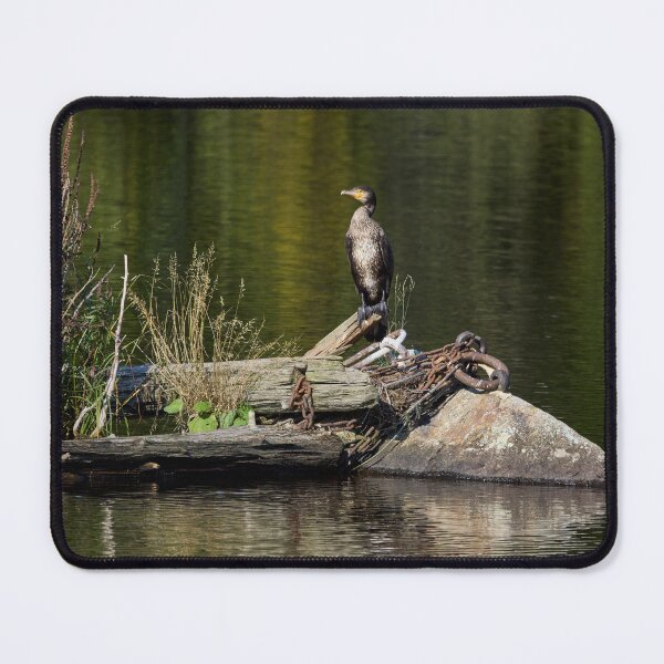 Item preview, Resting place. Great cormorant designed and sold by Jouko Lehto Photography.