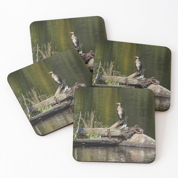 Item preview, Resting place. Great cormorant designed and sold by Jouko Lehto Photography.