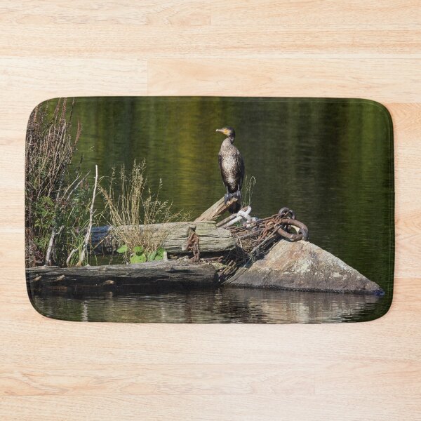 Item preview, Resting place. Great cormorant designed and sold by Jouko Lehto Photography.