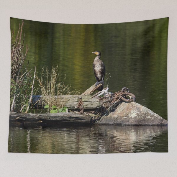 Item preview, Resting place. Great cormorant designed and sold by Jouko Lehto Photography.