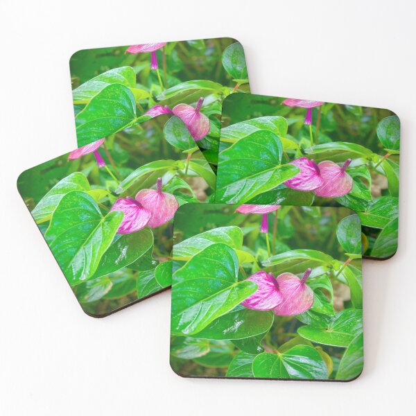 Item preview, Pink Anthurium – Tropical Jungle Bloom designed and sold by TrisaThyme.