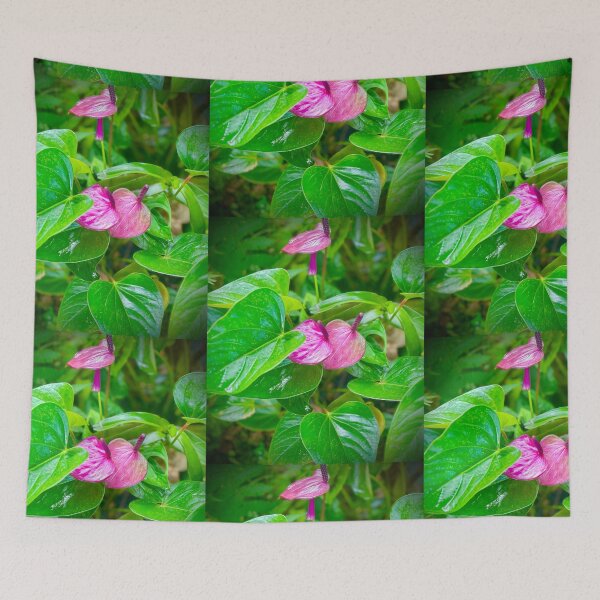 Item preview, Pink Anthurium – Tropical Jungle Bloom designed and sold by TrisaThyme.