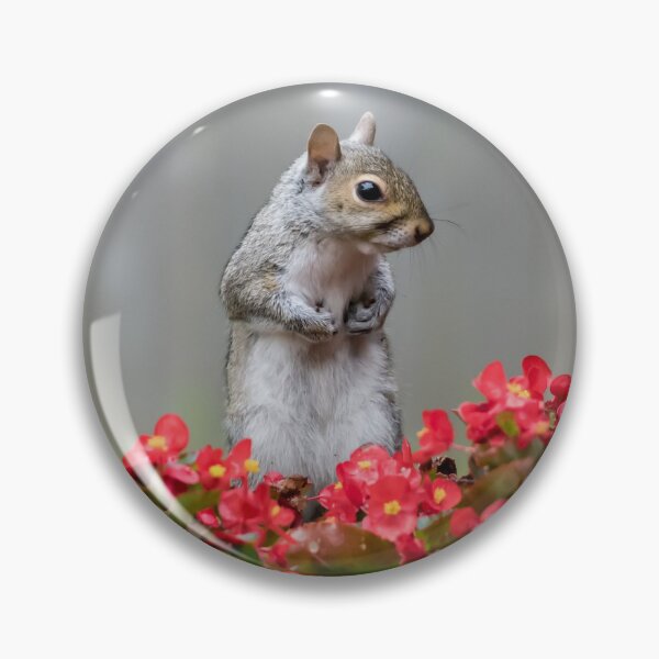 Item preview, Squirrel posing in flowers award winning exhibit designed and sold by Polky Art.