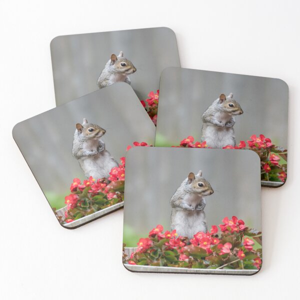 Item preview, Squirrel posing in flowers award winning exhibit designed and sold by Polky Art.