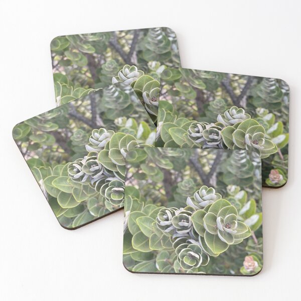 Item preview, ʻŌhiʻa Lehua Green Spiral Leaves designed and sold by TrisaThyme.