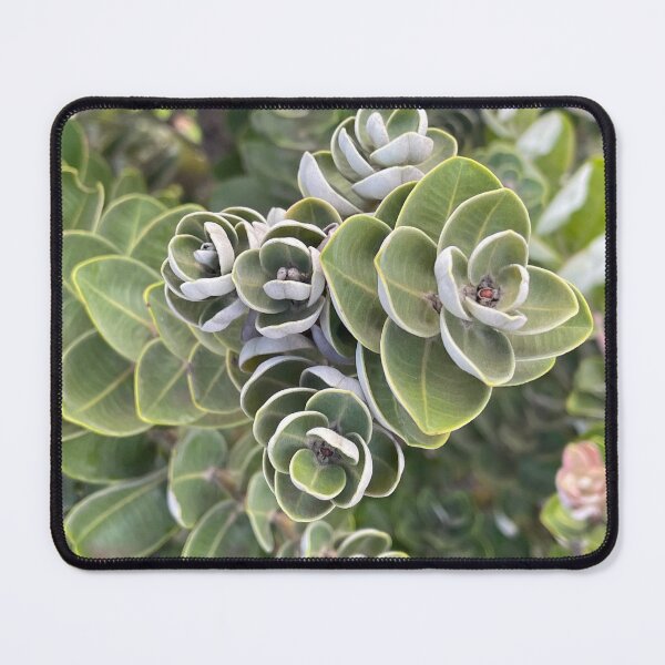 Item preview, ʻŌhiʻa Lehua Green Spiral Leaves designed and sold by TrisaThyme.