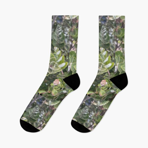 Item preview, ʻŌhiʻa Lehua Green Spiral Leaves designed and sold by TrisaThyme.