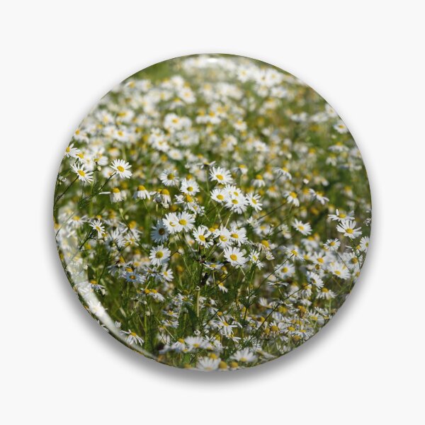 Item preview, Daisyfieds forever. 2025 designed and sold by Jouko Lehto Photography.