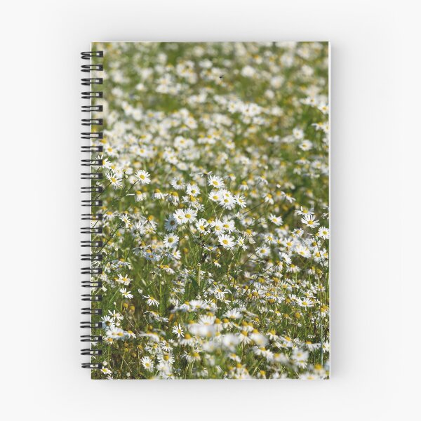 Item preview, Daisyfieds forever. 2025 designed and sold by Jouko Lehto Photography.