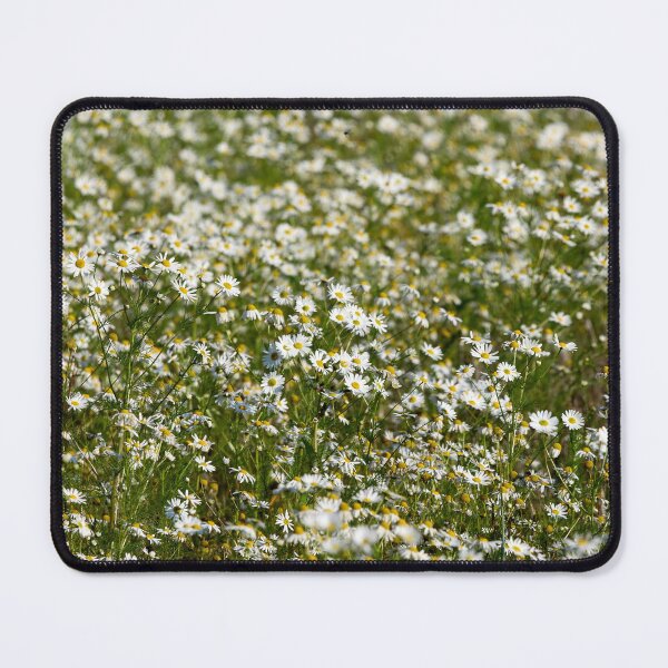 Item preview, Daisyfieds forever. 2025 designed and sold by Jouko Lehto Photography.