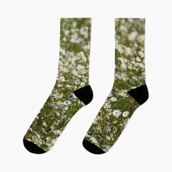 Item preview, Daisyfieds forever. 2025 designed and sold by Jouko Lehto Photography.