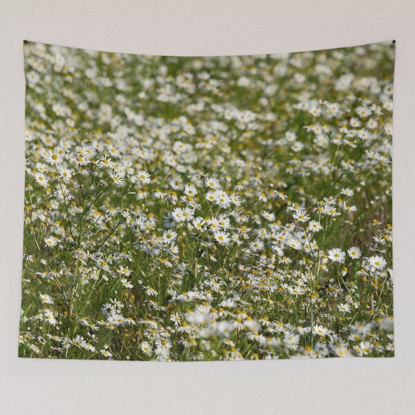 Item preview, Daisyfieds forever. 2025 designed and sold by Jouko Lehto Photography.