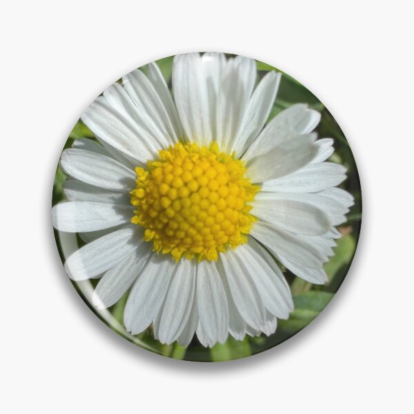 Item preview, Daisy Optimism designed and sold by melips.