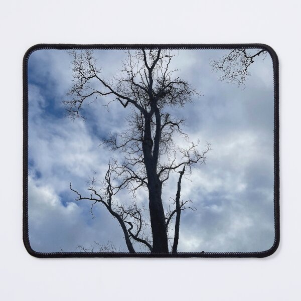 Item preview, Bare Tree Against Dramatic Cloudy Sky designed and sold by TrisaThyme.