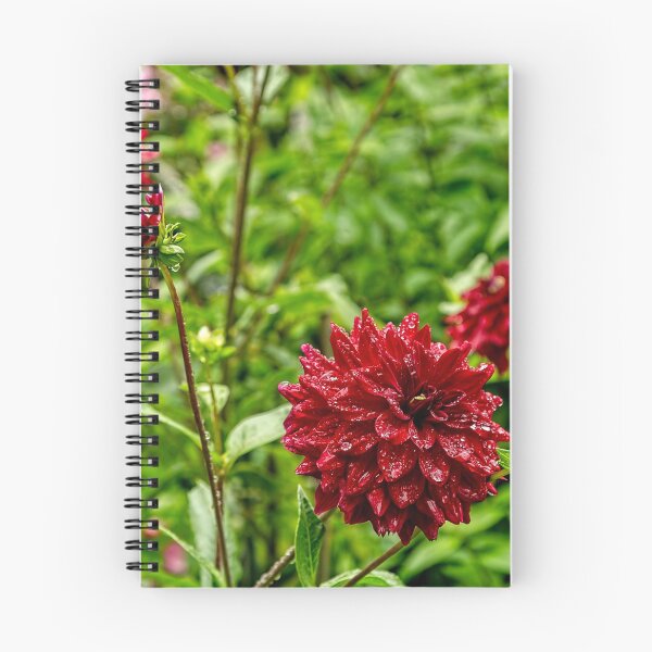 Item preview, Dewey Dahlia designed and sold by Kay Brewer.