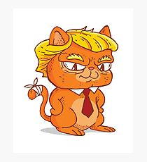 Donald Cat Photographic Print