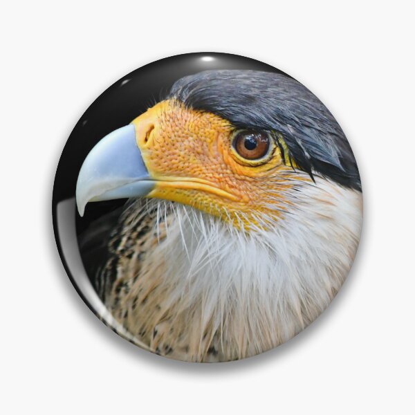 Item preview, Crested Caracara designed and sold by richardbryce.