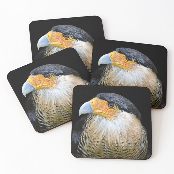 Item preview, Crested Caracara designed and sold by richardbryce.