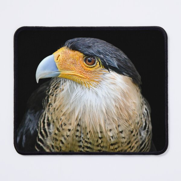 Item preview, Crested Caracara designed and sold by richardbryce.