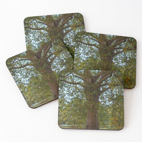 Item preview, Turning To Autumn designed and sold by Christine Lake.
