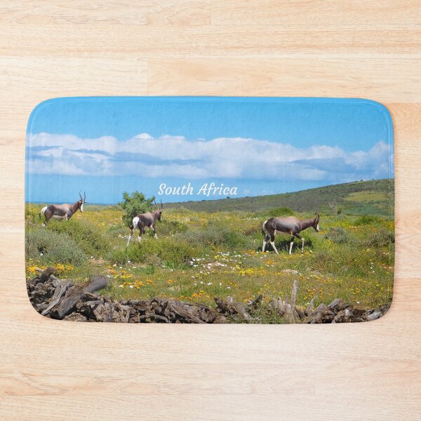 Item preview, Bontebok in the Nature Reserve in Langebaan native to South Africa. designed and sold by Photos By Jadene - South Africa.