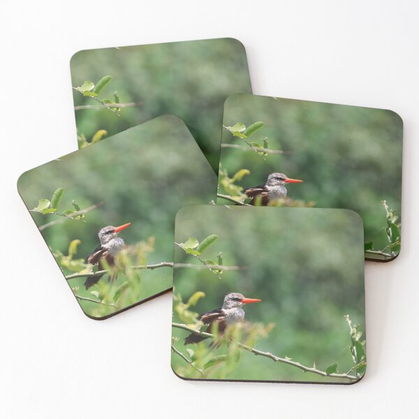 Item preview, A Hiding Grey-Headed Kingfisher designed and sold by KristalStittle.