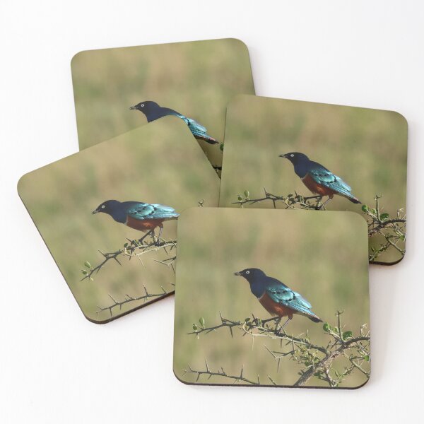 Item preview, Superb Starling on Thorns designed and sold by KristalStittle.