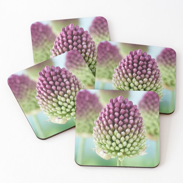 Artikelvorschau, Allium sphaerocephalon AGM Rundkopf-Knoblauch Rundkopf-Lauch entworfen und verkauft von Chris Burrows.