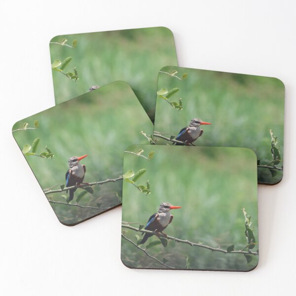 Item preview, Grey-Headed Kingfisher Among the Thorns designed and sold by KristalStittle.