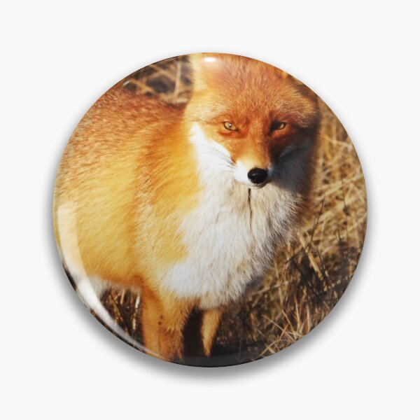 Item preview, The curious fox designed and sold by GSA ColdPlayView.