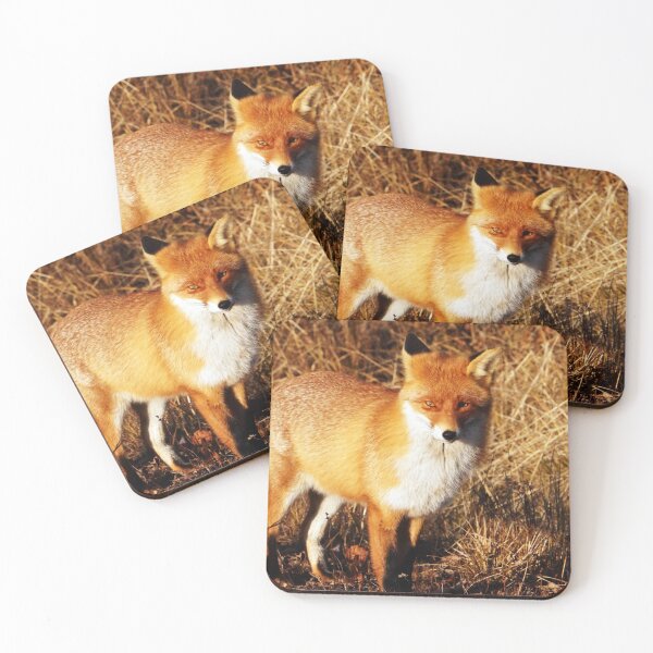 Item preview, The curious fox designed and sold by GSA ColdPlayView.