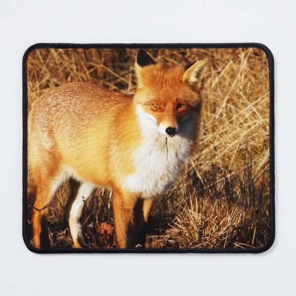 Item preview, The curious fox designed and sold by GSA ColdPlayView.