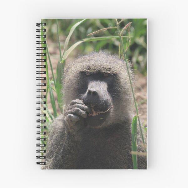 Item preview, An Olive Baboon with a Snack designed and sold by KristalStittle.