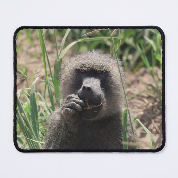 Item preview, An Olive Baboon with a Snack designed and sold by KristalStittle.