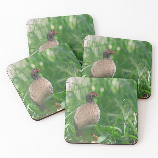 Item preview, Red-Necked Spurfowl in the Grass designed and sold by KristalStittle.