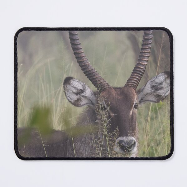 Item preview, Waterbuck in the Misty Morning designed and sold by KristalStittle.