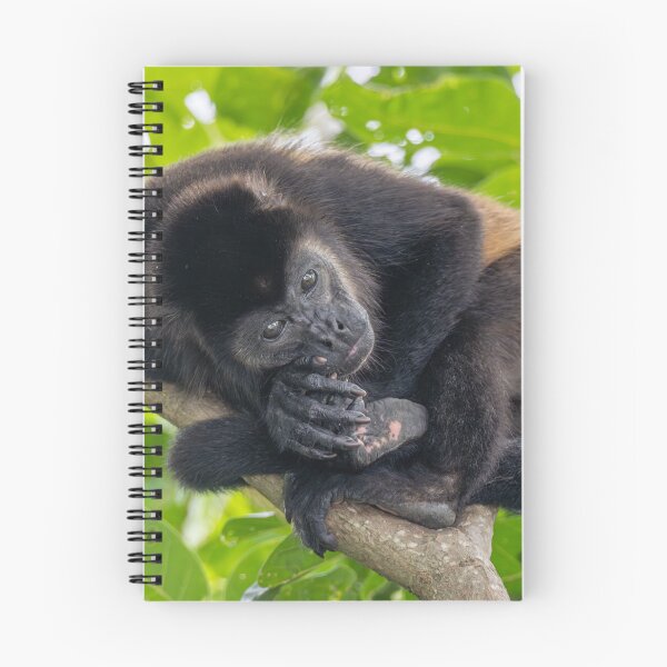 Item preview, Howler monkey designed and sold by Lourdie5.