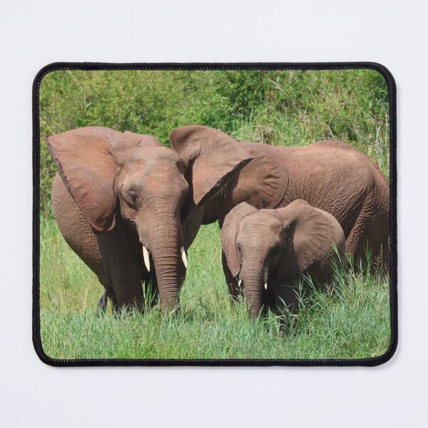 Item preview, Elephant Family in the Grass designed and sold by KristalStittle.