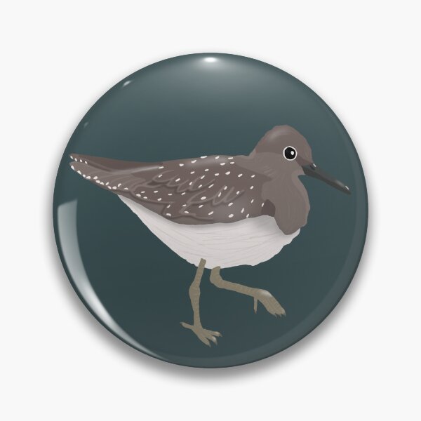 Item preview, Solitary Sandpiper Wading (Fall/Non-Breeding Plumage) designed and sold by BDBirds.